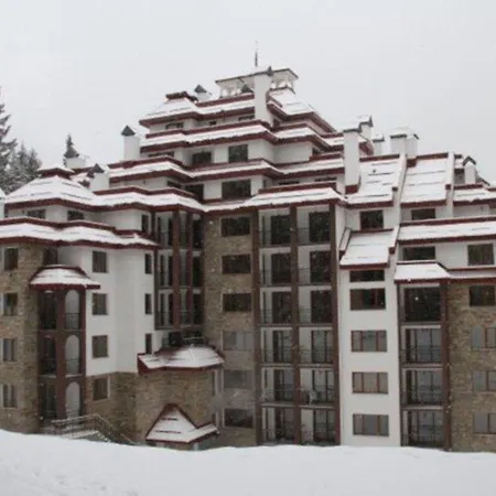 Complex Kamelia 팜포로보