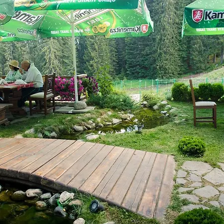 Complex Kamelia 4* 팜포로보