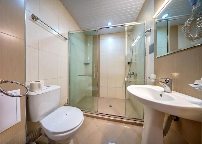 Complex Kamelia بامبوروفو