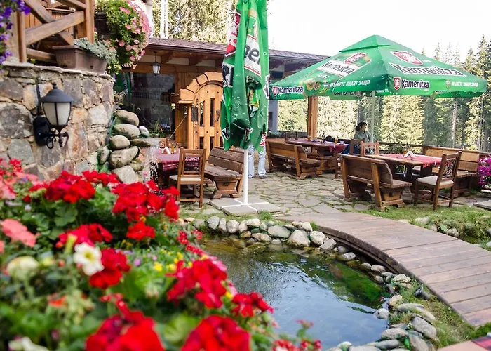 Complex Kamelia Aparthotel 4*