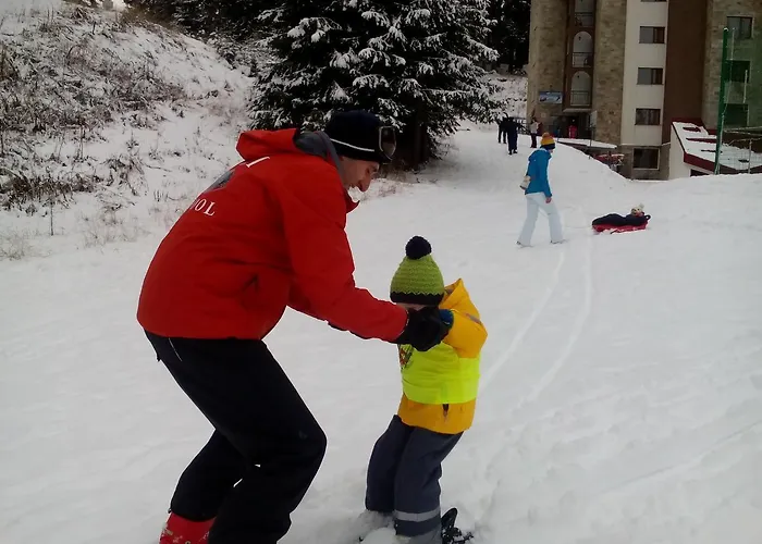 Apart Otel Complex Kamelia 4*