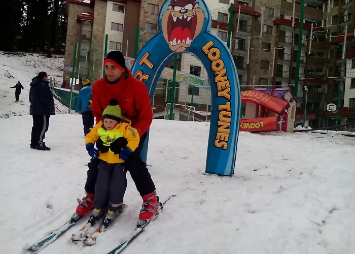 Apart Otel Complex Kamelia 4*